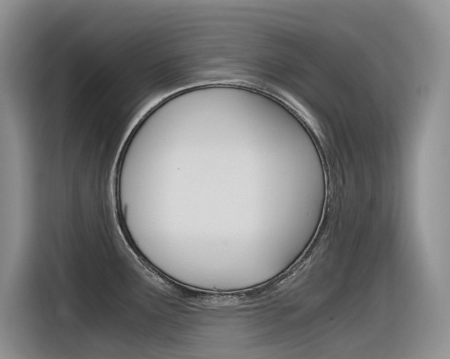 X0000116391291200912020958