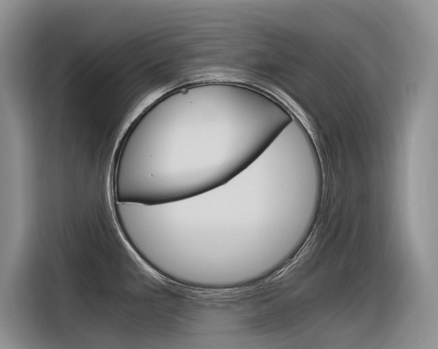 X0000116391293200912020958
