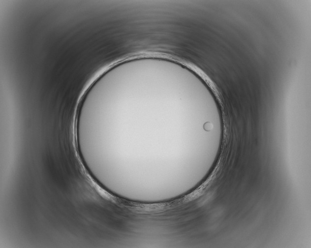 X0000116391294200912020958