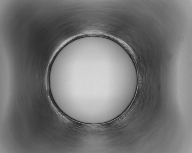 X0000116391295200912020958
