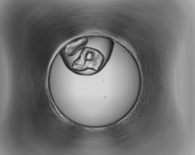 X0000116391296200912020958