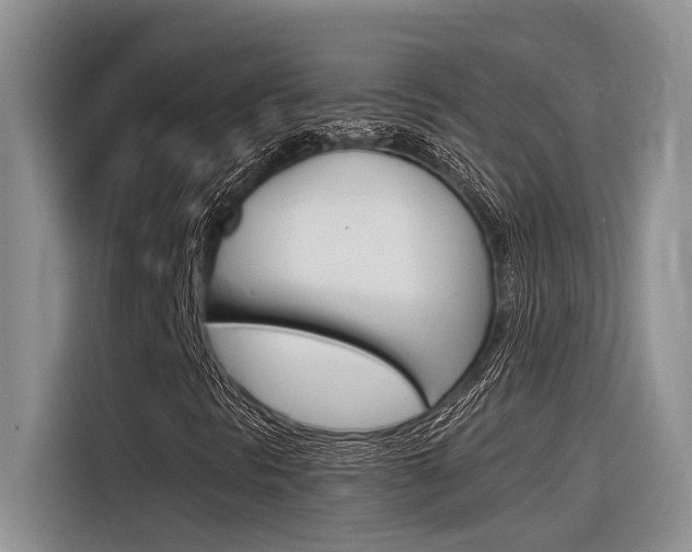 X0000116391297200912020957