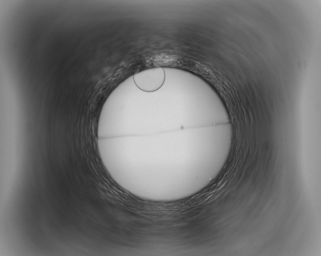 X0000116391299200912020958
