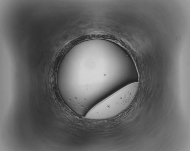 X0000116391303200912020958