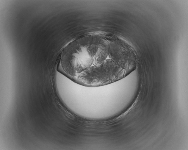 X0000116391305200912020958