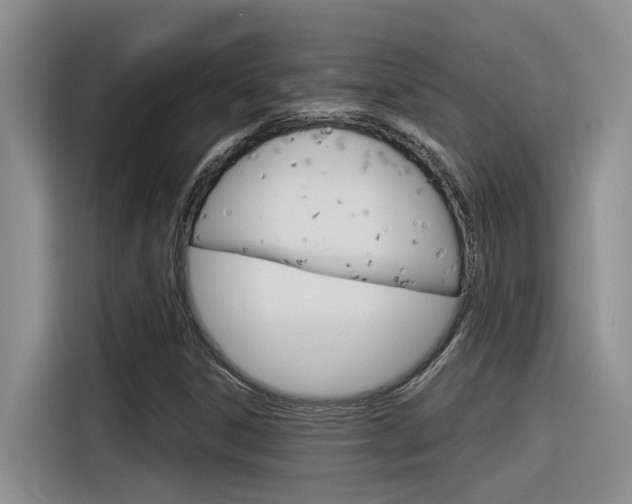X0000116391306200912020958