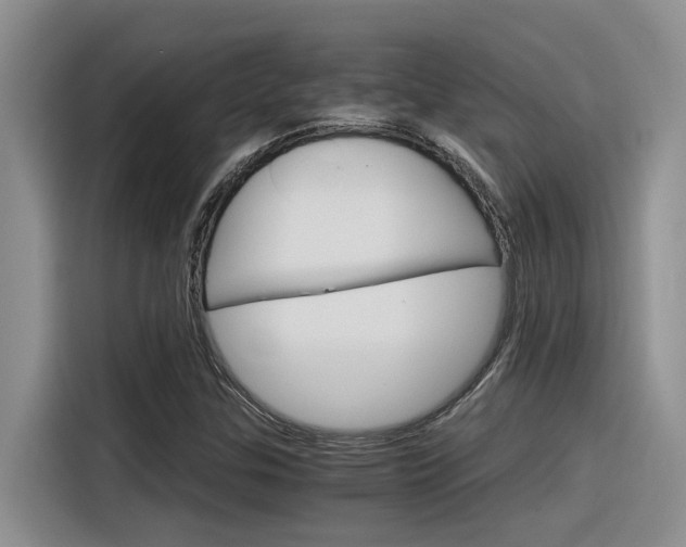 X0000116391307200912020958