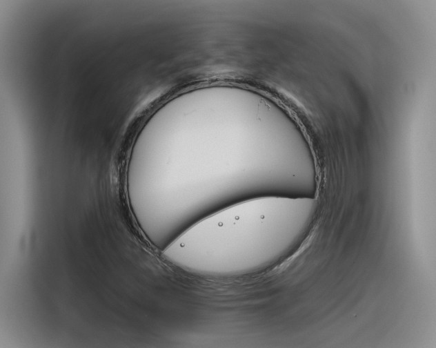 X0000116391309200912020958