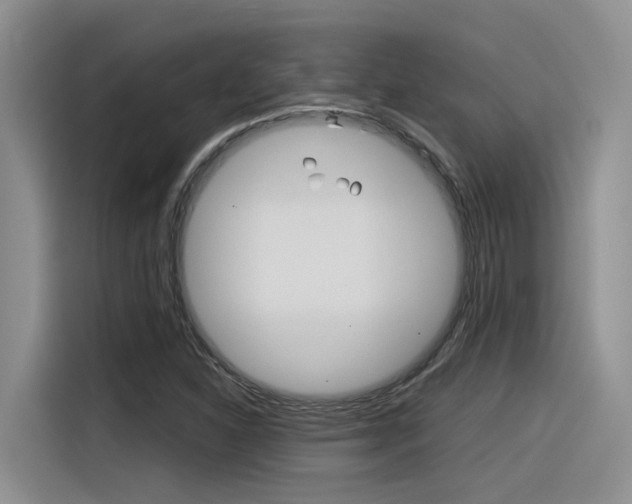 X0000116391310200912020958