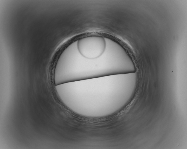 X0000116391311200912020958