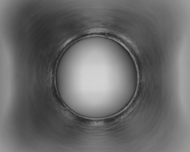 X0000116391313200912020958