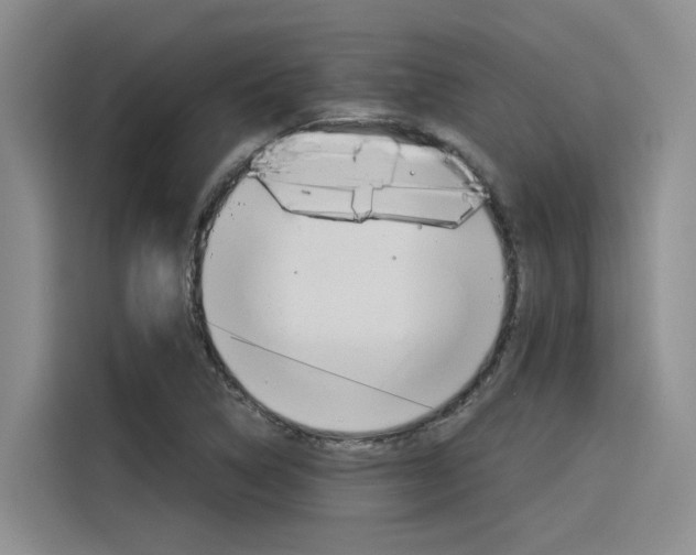 X0000116391314200912020958