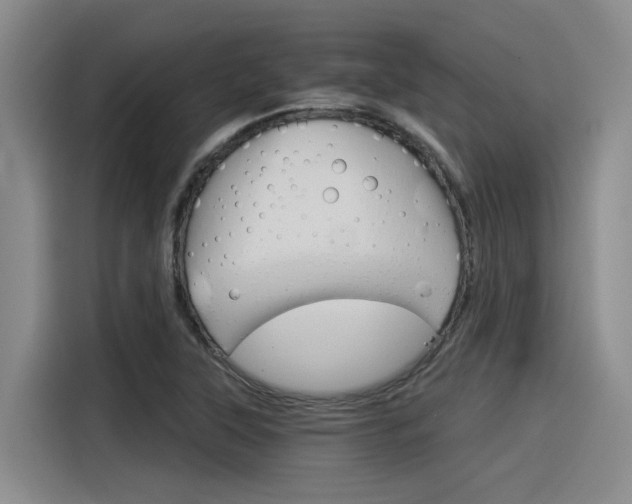 X0000116391315200912020958