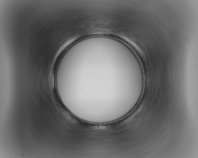 X0000116391317200912020958