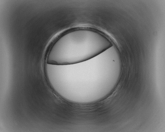 X0000116391319200912020958