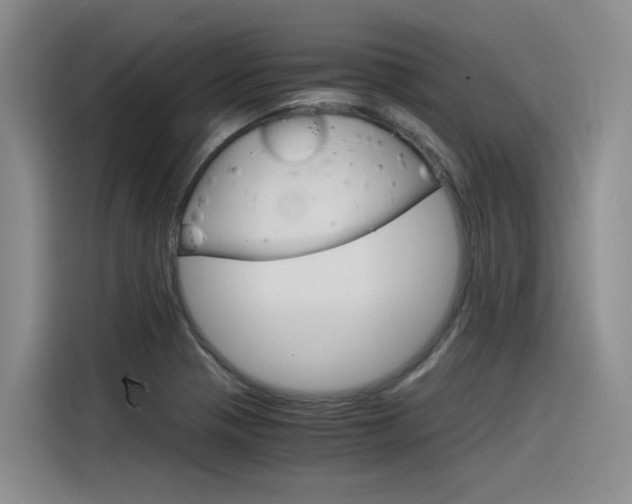 X0000116391321200912020958