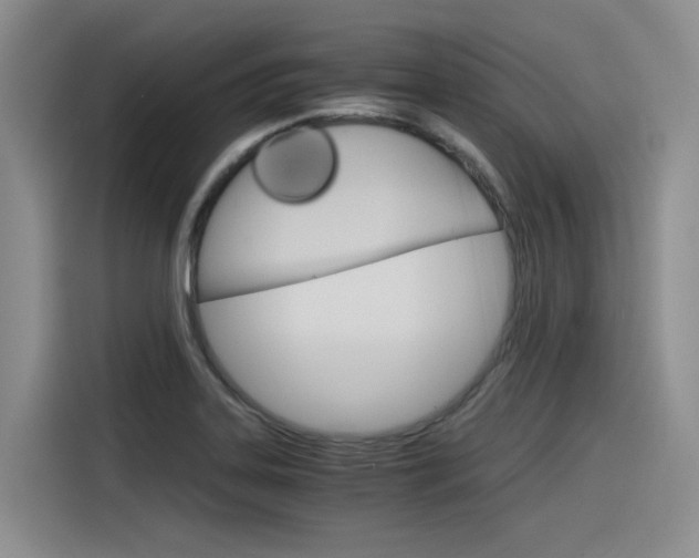 X0000116391323200912020958