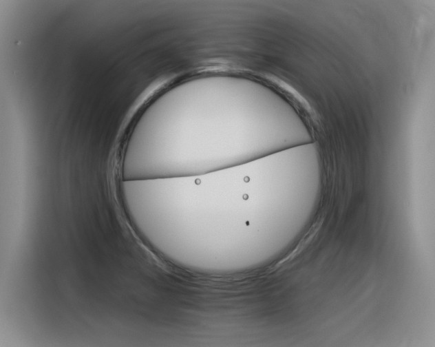 X0000116391325200912020958