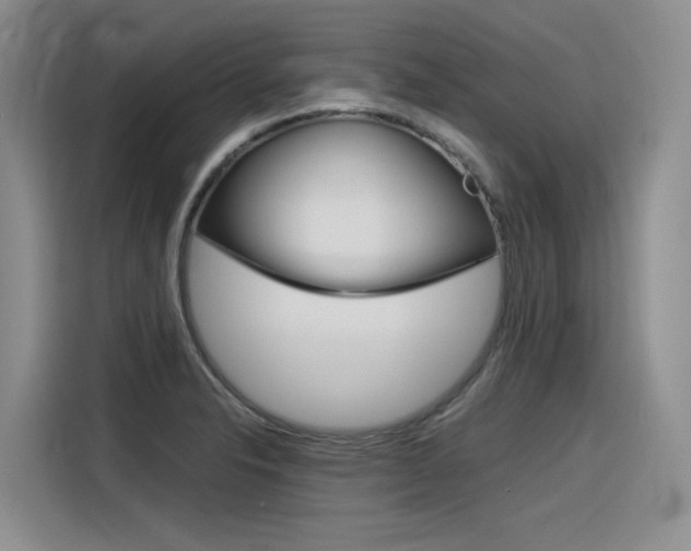 X0000116391326200912020958