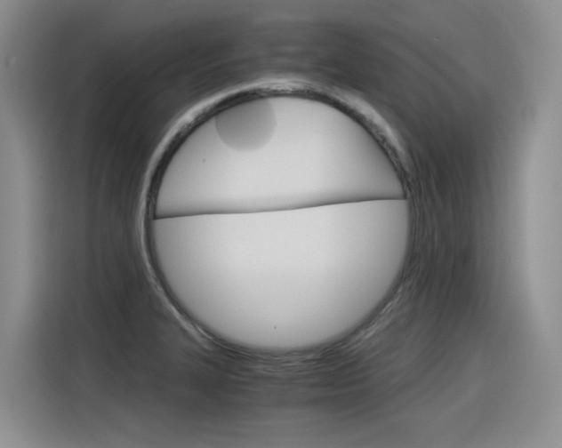 X0000116391327200912020958
