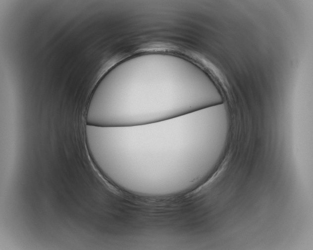 X0000116391329200912020958