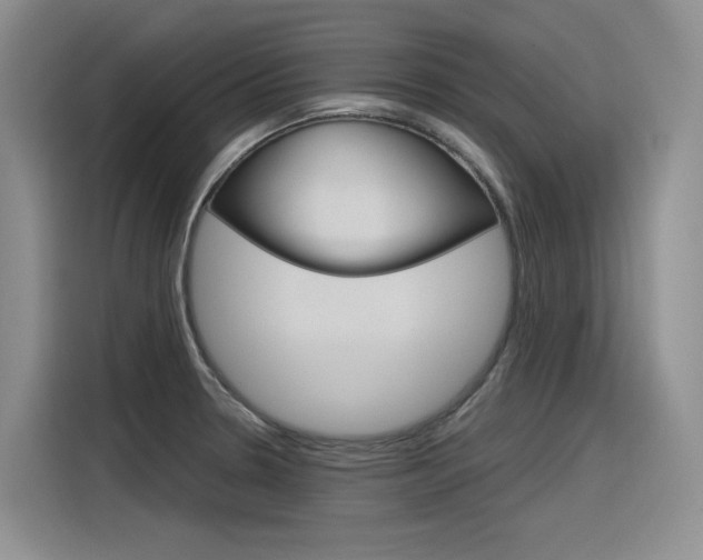 X0000116391330200912020958