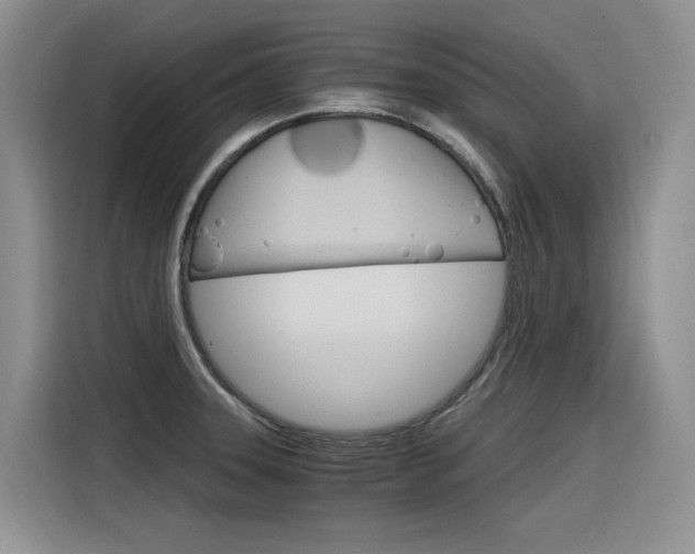 X0000116391331200912020958