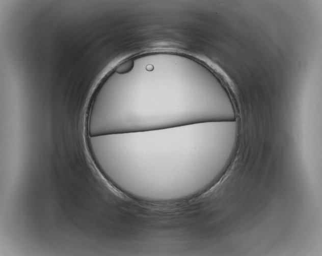 X0000116391333200912020958