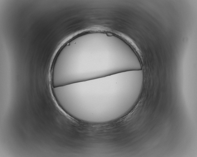 X0000116391335200912020958