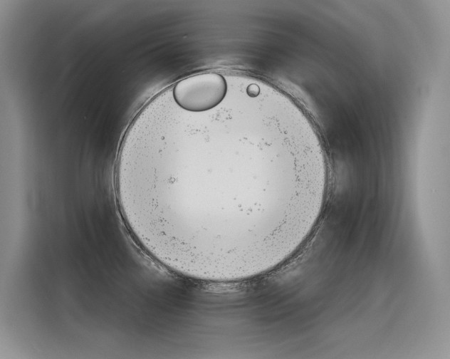 X0000116391338200912020958