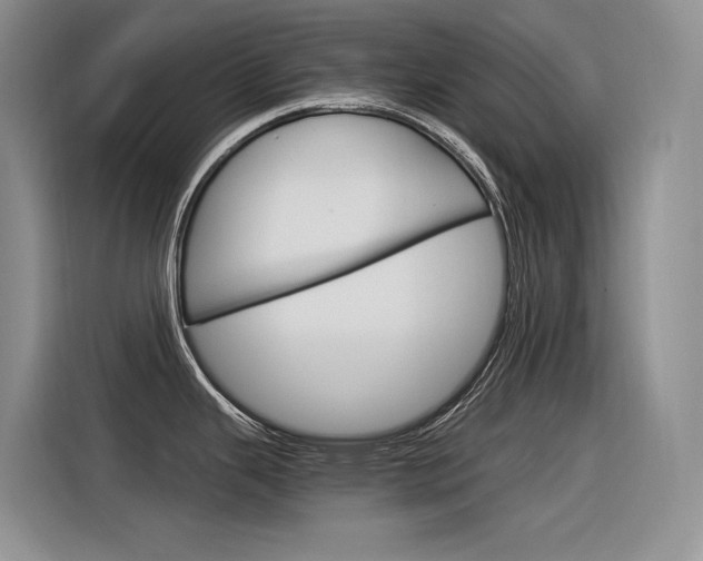 X0000116391343200912020958