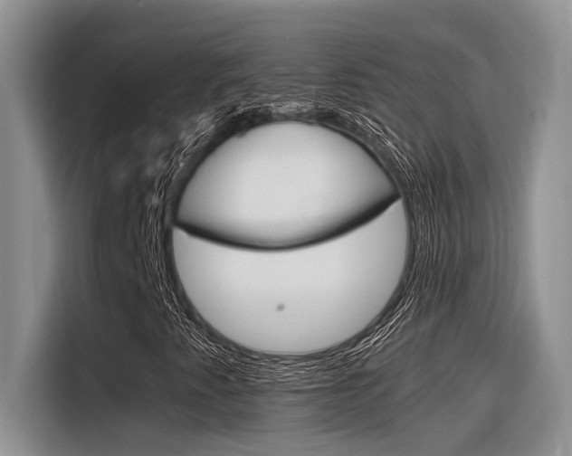 X0000116391345200912020957