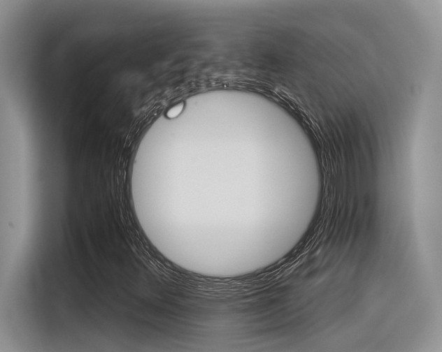 X0000116391348200912020957