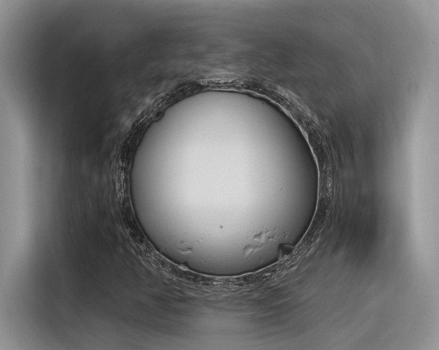 X0000116391350200912020957