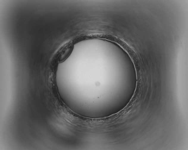 X0000116391351200912020957