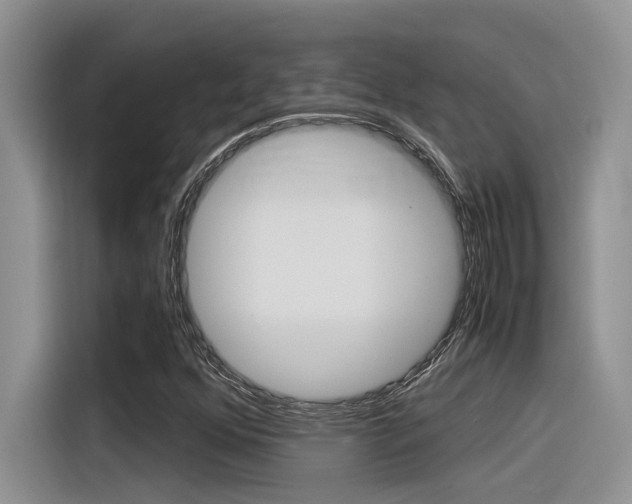 X0000116391352200912020957