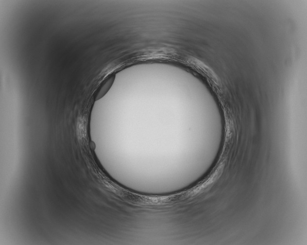 X0000116391353200912020957