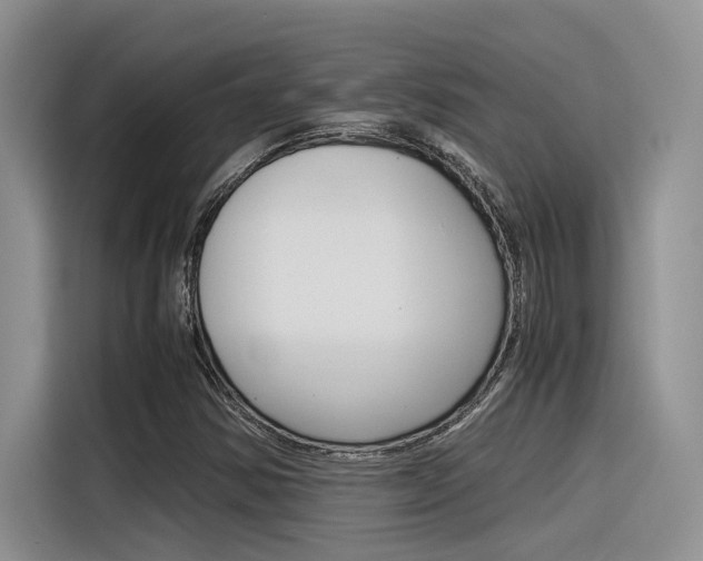 X0000116391354200912020957