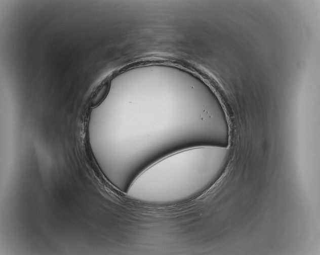 X0000116391355200912020957