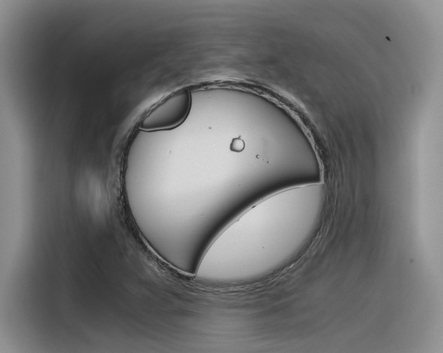 X0000116391359200912020957