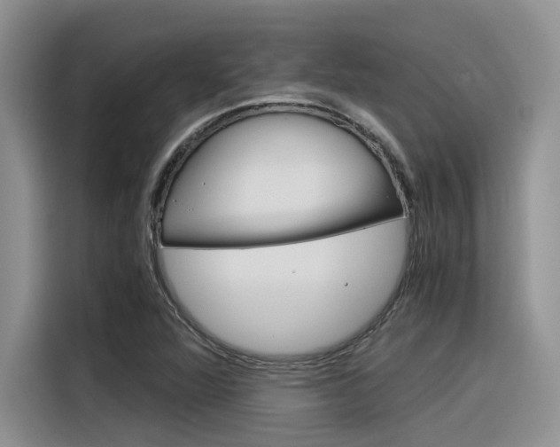 X0000116391360200912020957