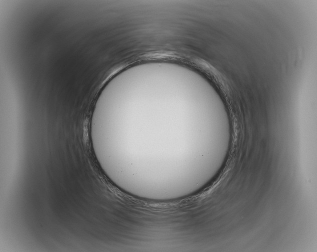 X0000116391361200912020957