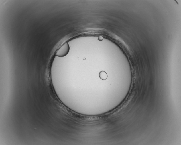 X0000116391362200912020957
