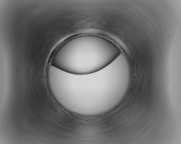 X0000116391364200912020957