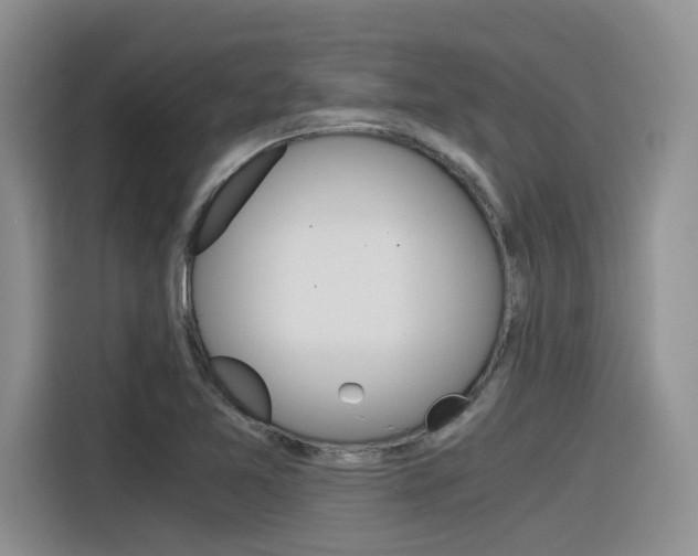 X0000116391365200912020957