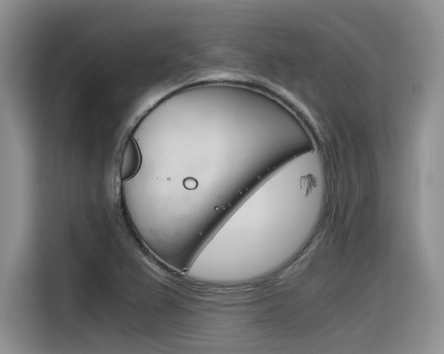 X0000116391367200912020957