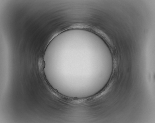 X0000116391369200912020957