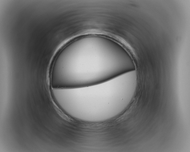 X0000116391372200912020957