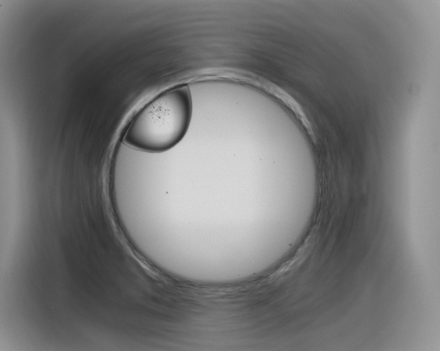 X0000116391373200912020957