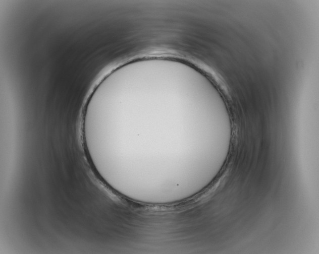 X0000116391374200912020957